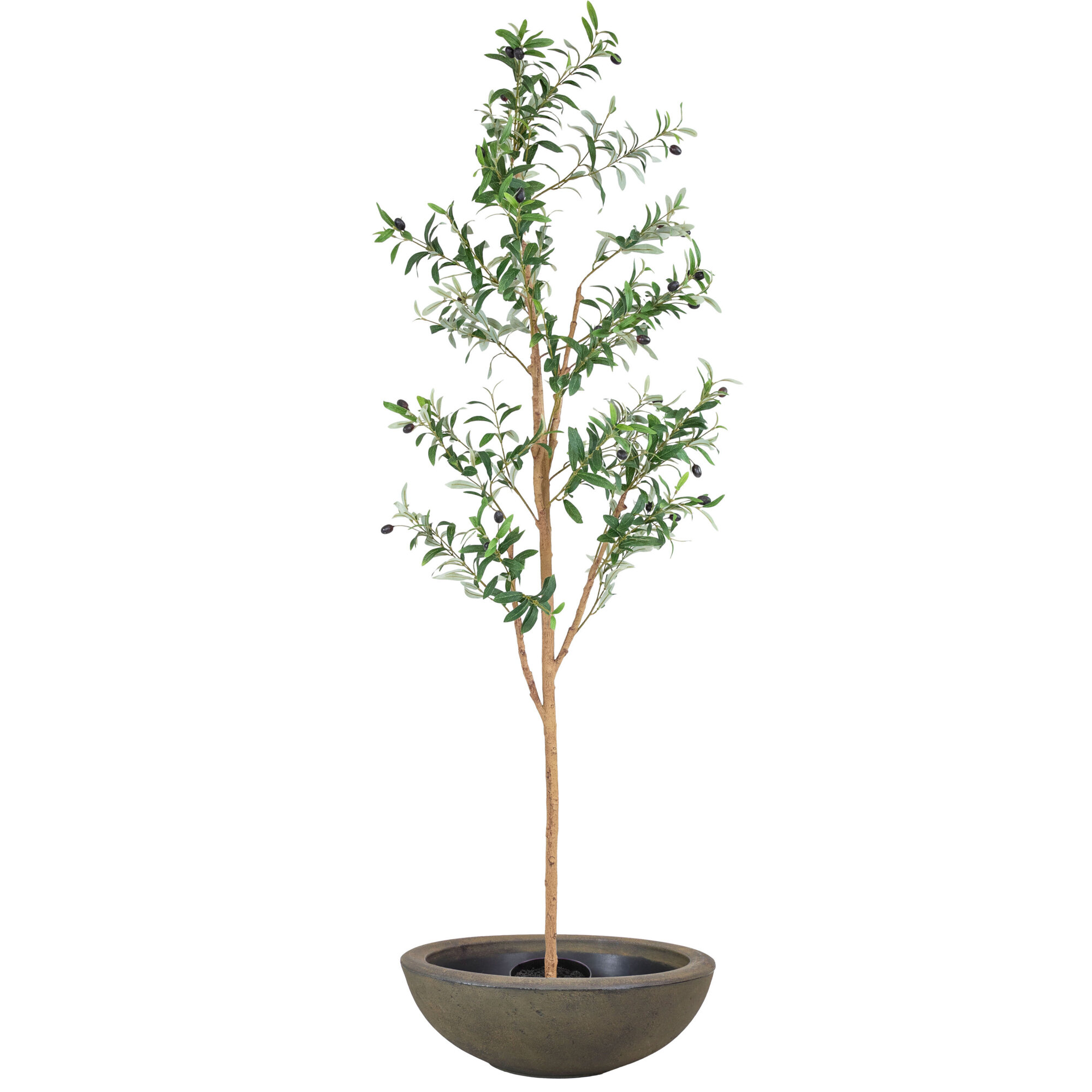 Sunnydaze Decor Artificial Olive Tree with Round Planter — 7ft., Silk Leaves, Realistic Trunk, Model# QCW-042-CMB